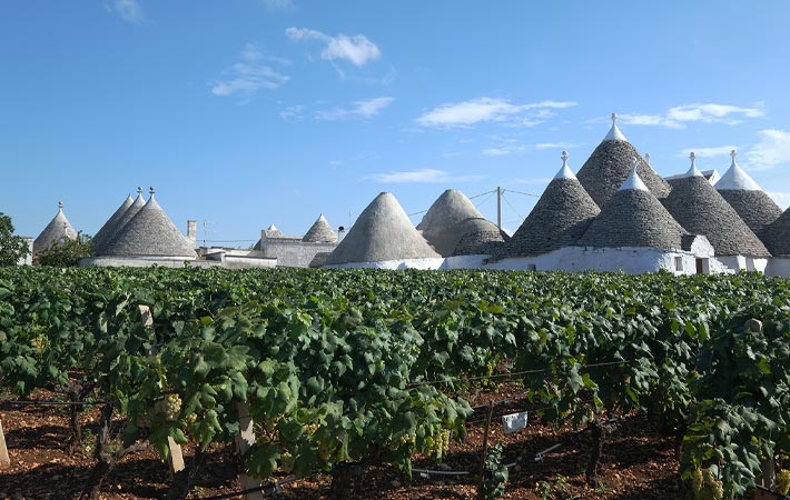 Puglia: vini rossi, ma non solo… la rivincita dei rosati e bianchi!