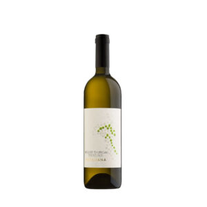 Muller Thurgau Trentino 2023 - Cantina Rotaliana