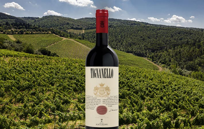 Scopri il Fascino del Tignanello 2021 dei Marchesi Antinori