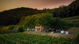 Degustazioni in Franciacorta